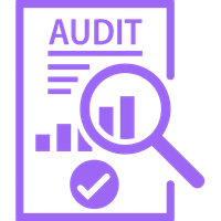Audit and consulting icon